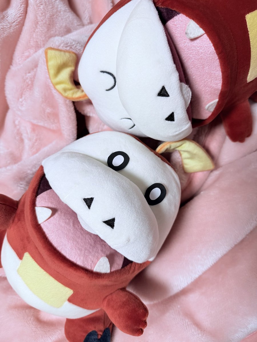 きゅん tweet media