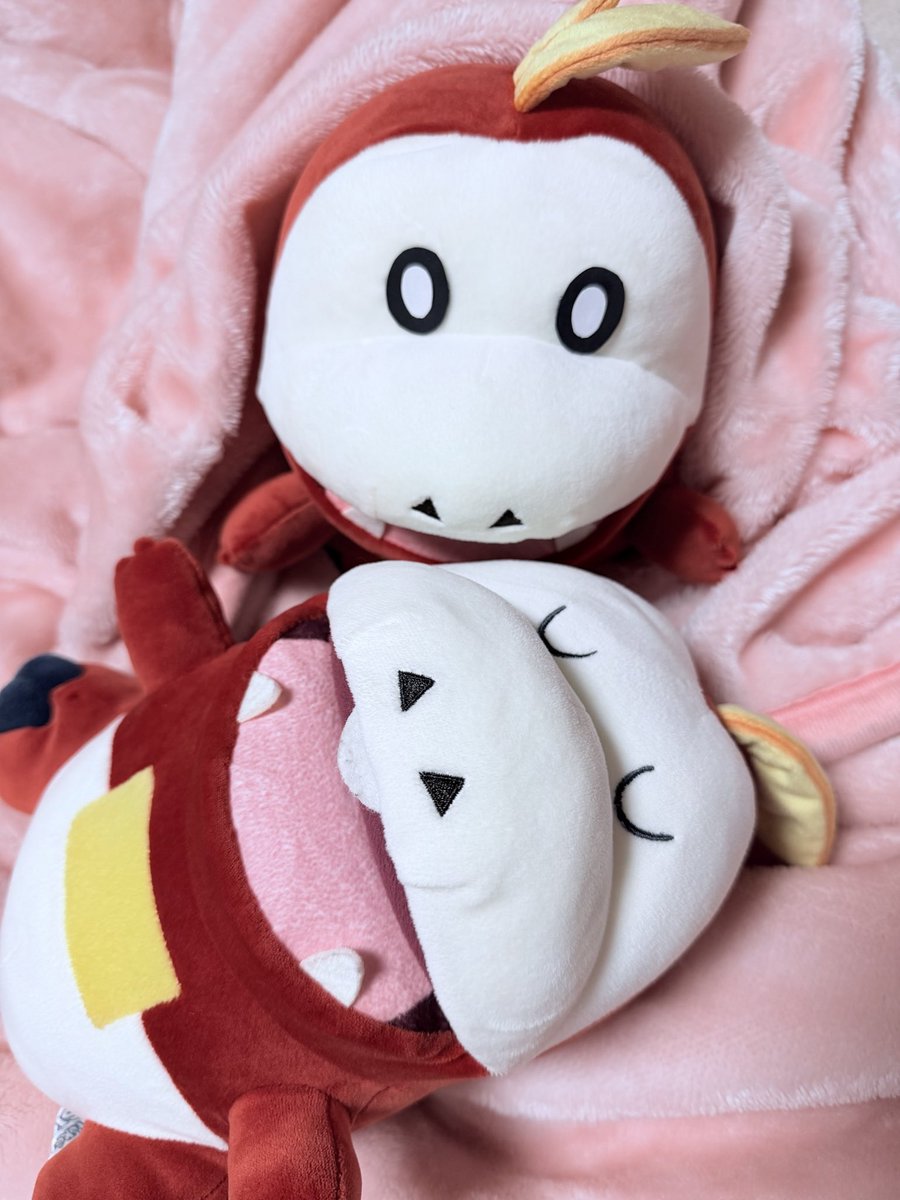 きゅん tweet media