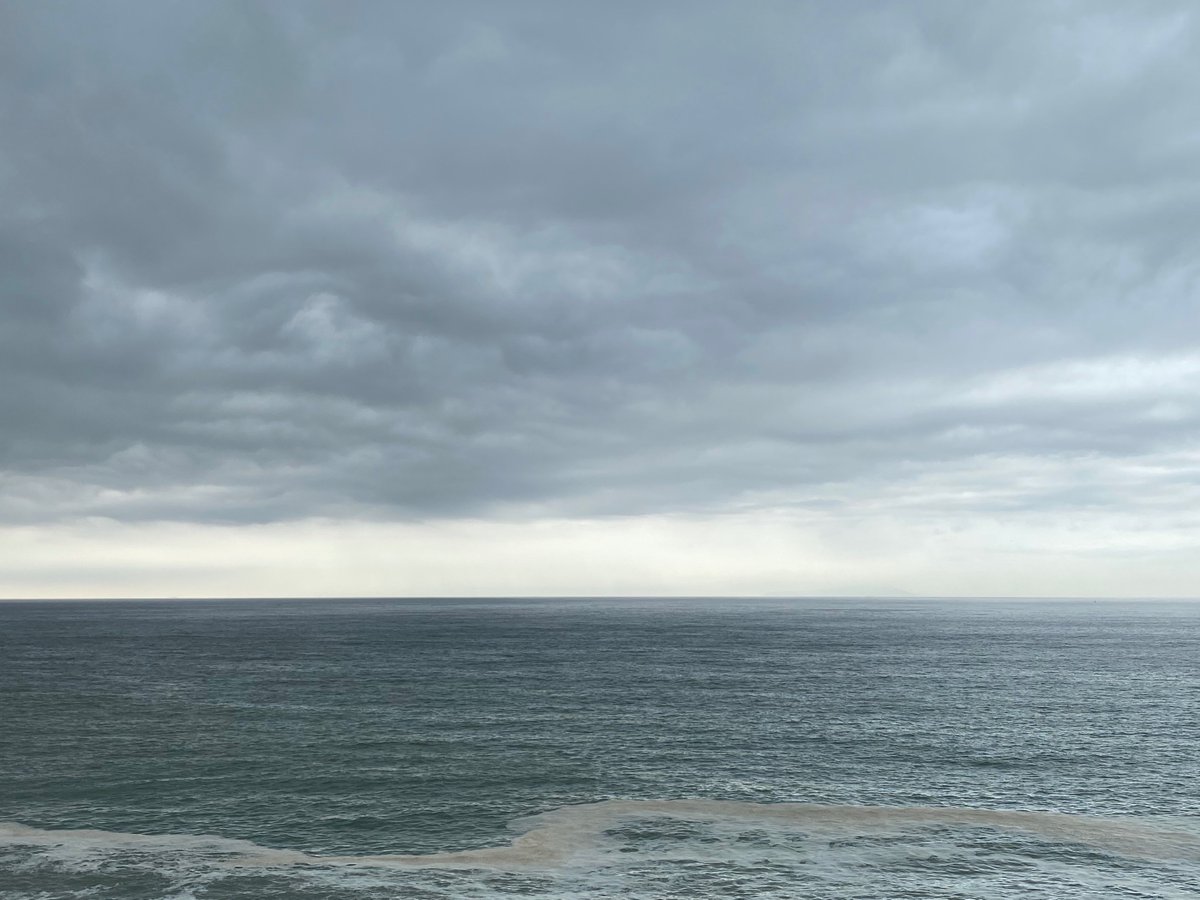 ゆみん＠2拠点生活 tweet media