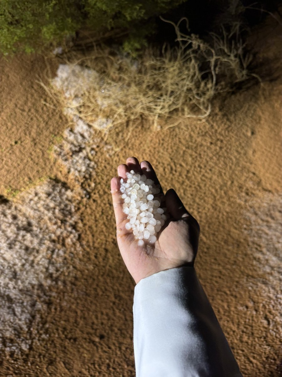 يوسف بن احمد 🇦🇪 tweet media