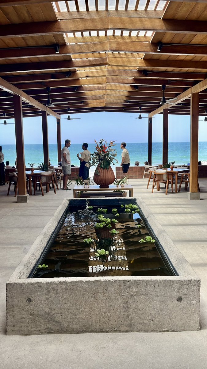 Zzeezee's tweet photo. When you mill palm and use it structurally, the whole vibe changes.

It feels alive..  and isn’t that the whole point of creating a cool space. 

Mauka Restaurant ~ Punta Negra https://t.co/62IbvqCRVB