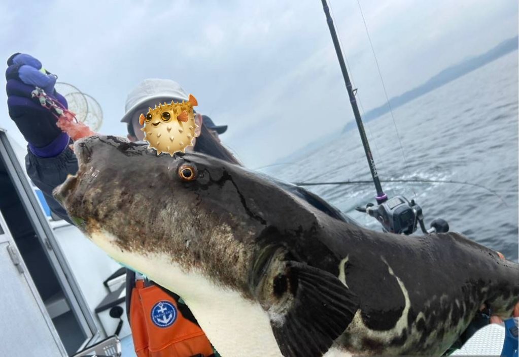 はくさい🐶釣り垢🎣 tweet media