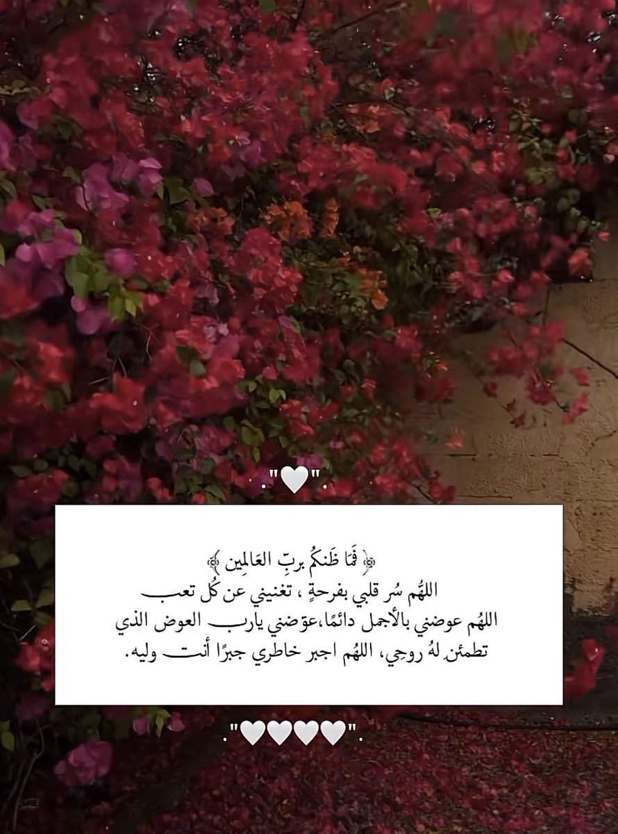 AberoAbdullah's tweet photo. https://t.co/tBcKMGGXRL