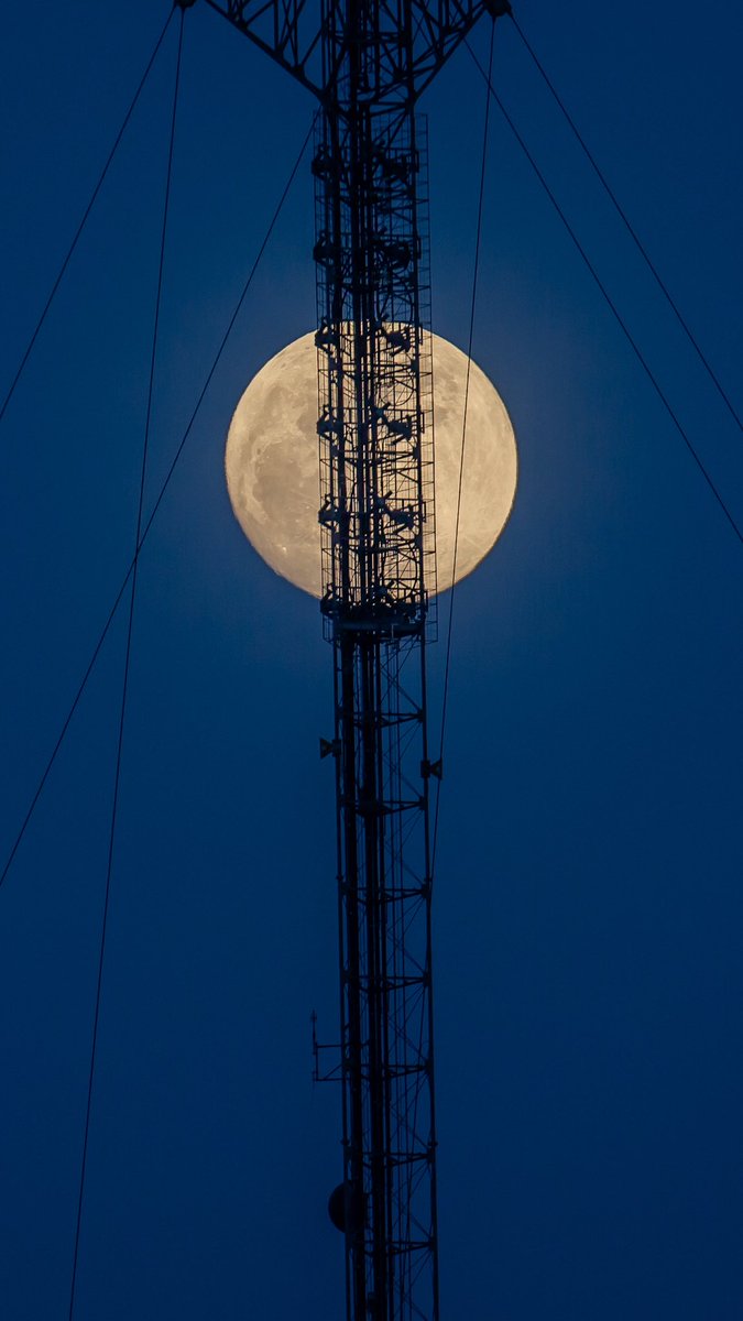 John P. Wise tweet media