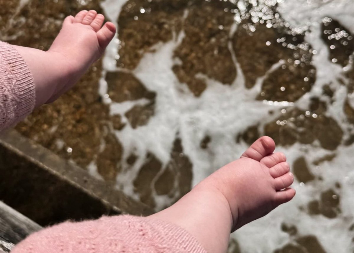 ๐๐ฎ๐ซ๐จ๐ซ๐. tweet media