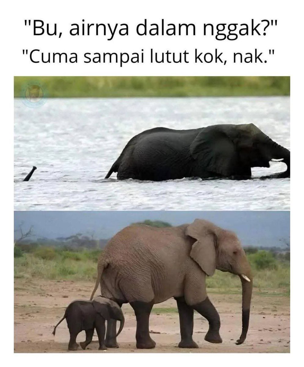 Ketawa itu GRATIS 🛩 tweet media