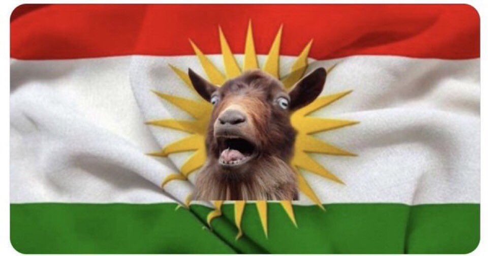 قشنگو tweet media