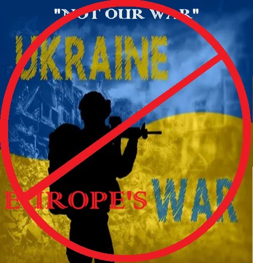 RogueSailor tweet media