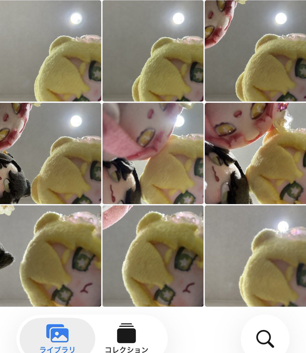 めっちゃ写真撮ってる🤣