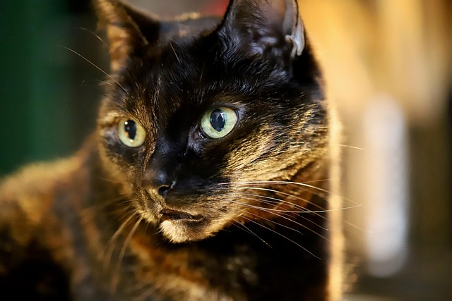 Angel Mitchell tweet media