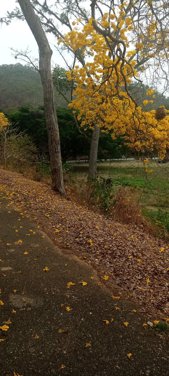 #Venceremos ❤️ tweet media