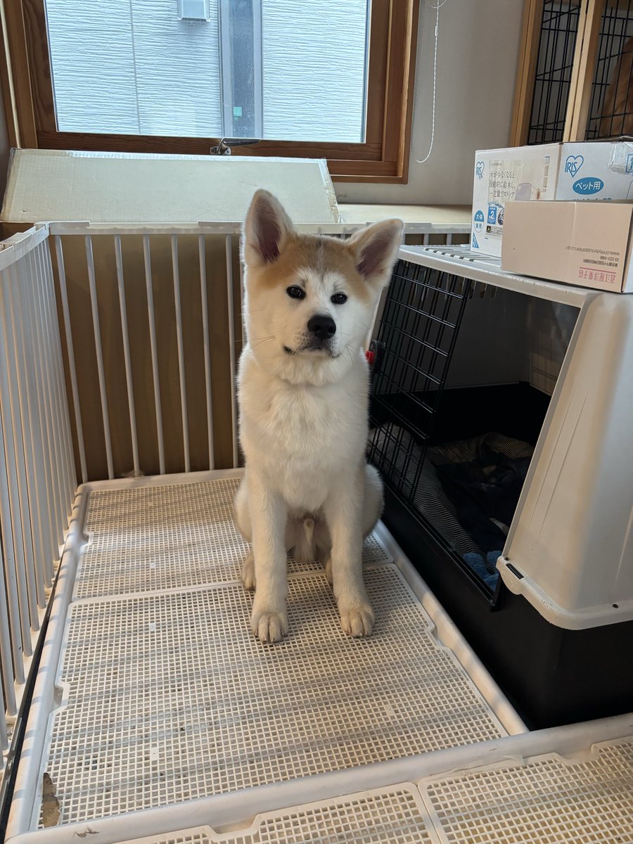 すけきよころ👛 tweet media