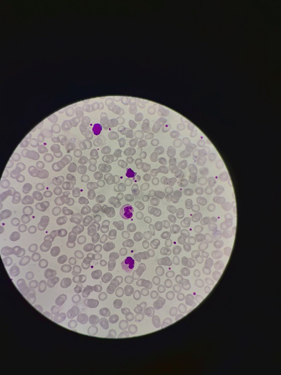 bê (@chaejichus) on Twitter photo 