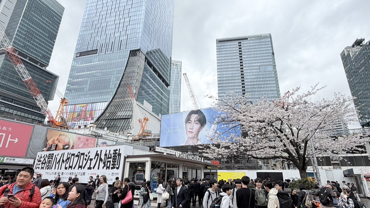 渋谷NEWS tweet media