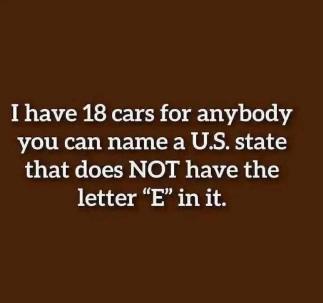 Honey Thoughts 🇺🇸 tweet media