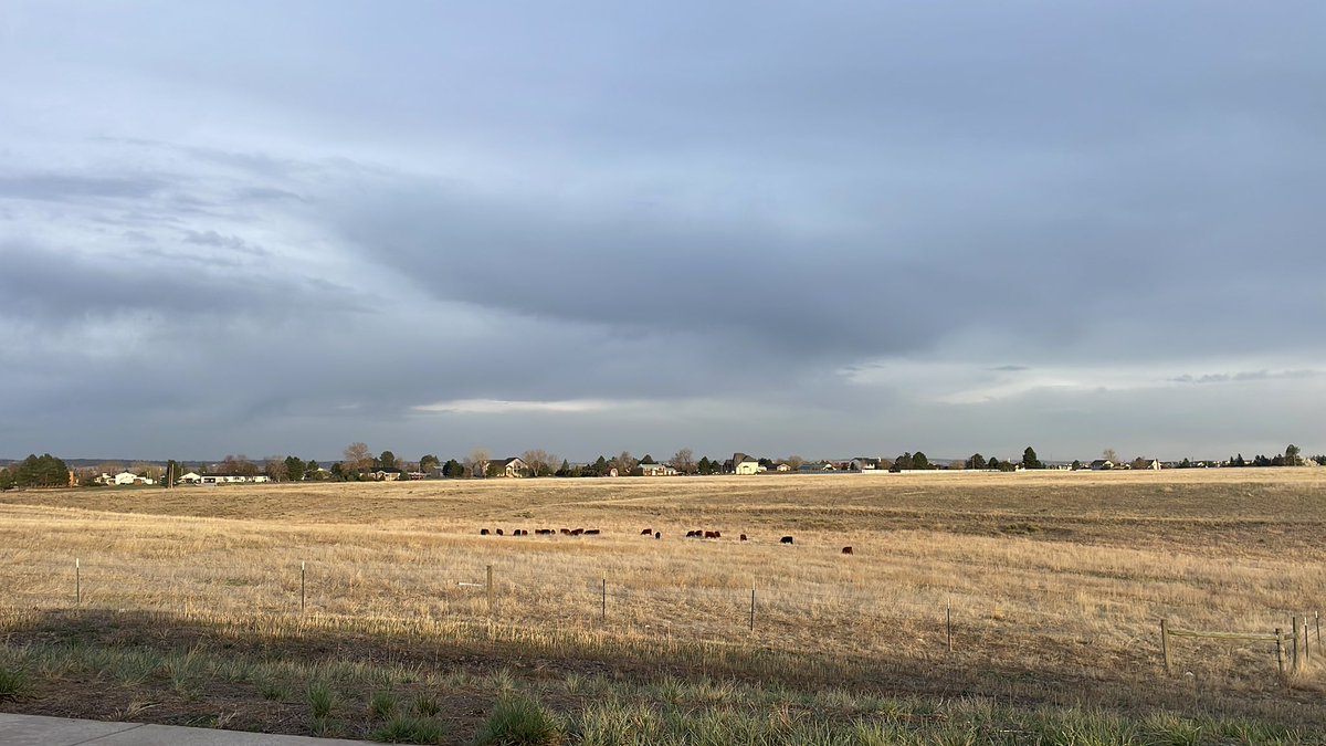 JavierXavierHavier tweet media