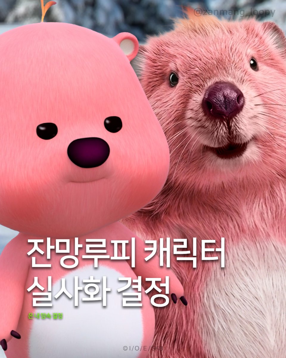 잔망루피 tweet media