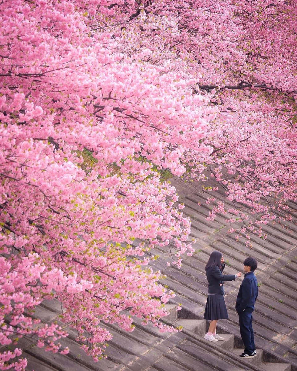 #PalabrasSueltas 🪶 tweet media