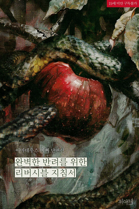 피아체 tweet media