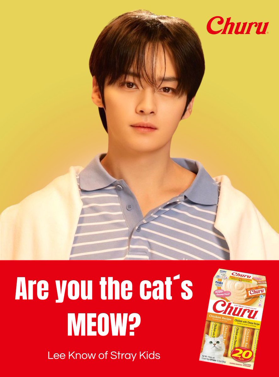 Lee Know Brazil 🐰 tweet media