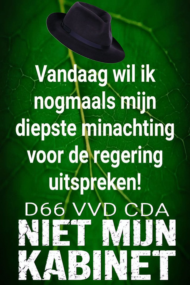 Dolly van den Berg tweet media