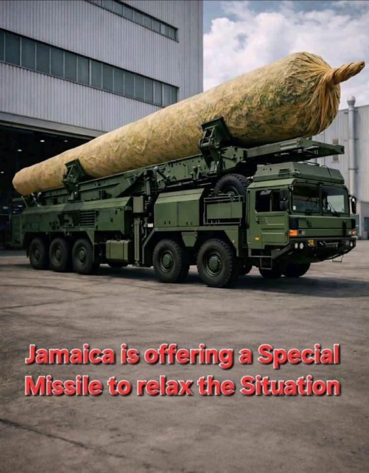 Safa Suveren tweet media