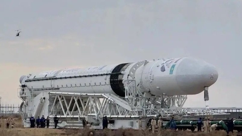 Mushmulka Space tweet media