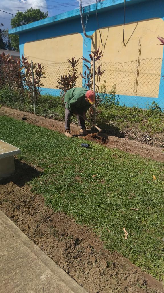 RachelAlvarezR1's tweet photo. En saludo al 4 de abril la Dirección General de Educación en Mantua engalana y embellece sus áreas. 
#CubaMined #PinardelRío #MantuaDeCuba https://t.co/gNgBAfZXK8