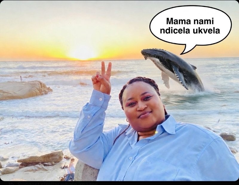 Morgan Mafu tweet media