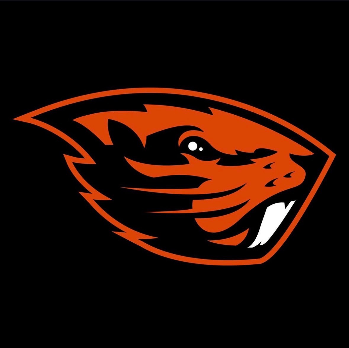 Jordan 'Jordy' Noel 3🌟Ath tweet media