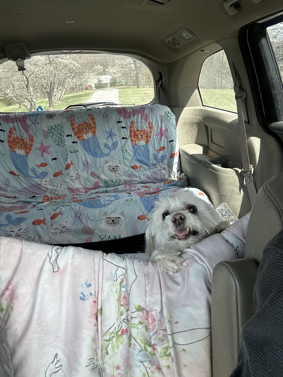 The Panic tweet media