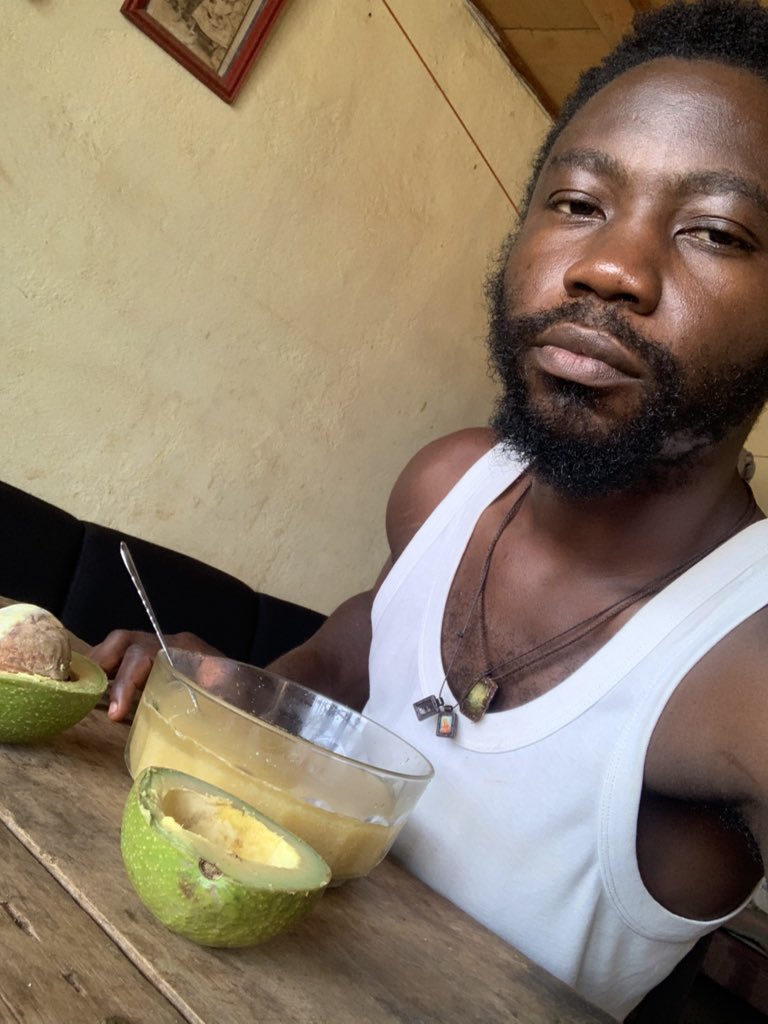 Fungom Farms tweet media