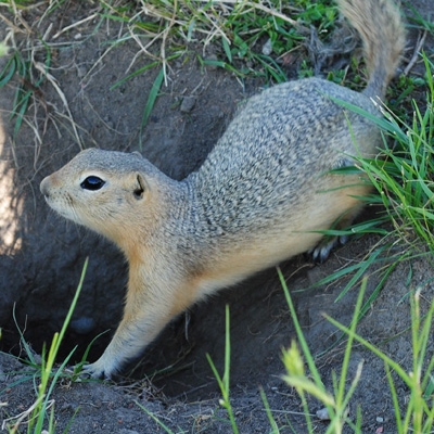 Municipal District of Bonnyville tweet media