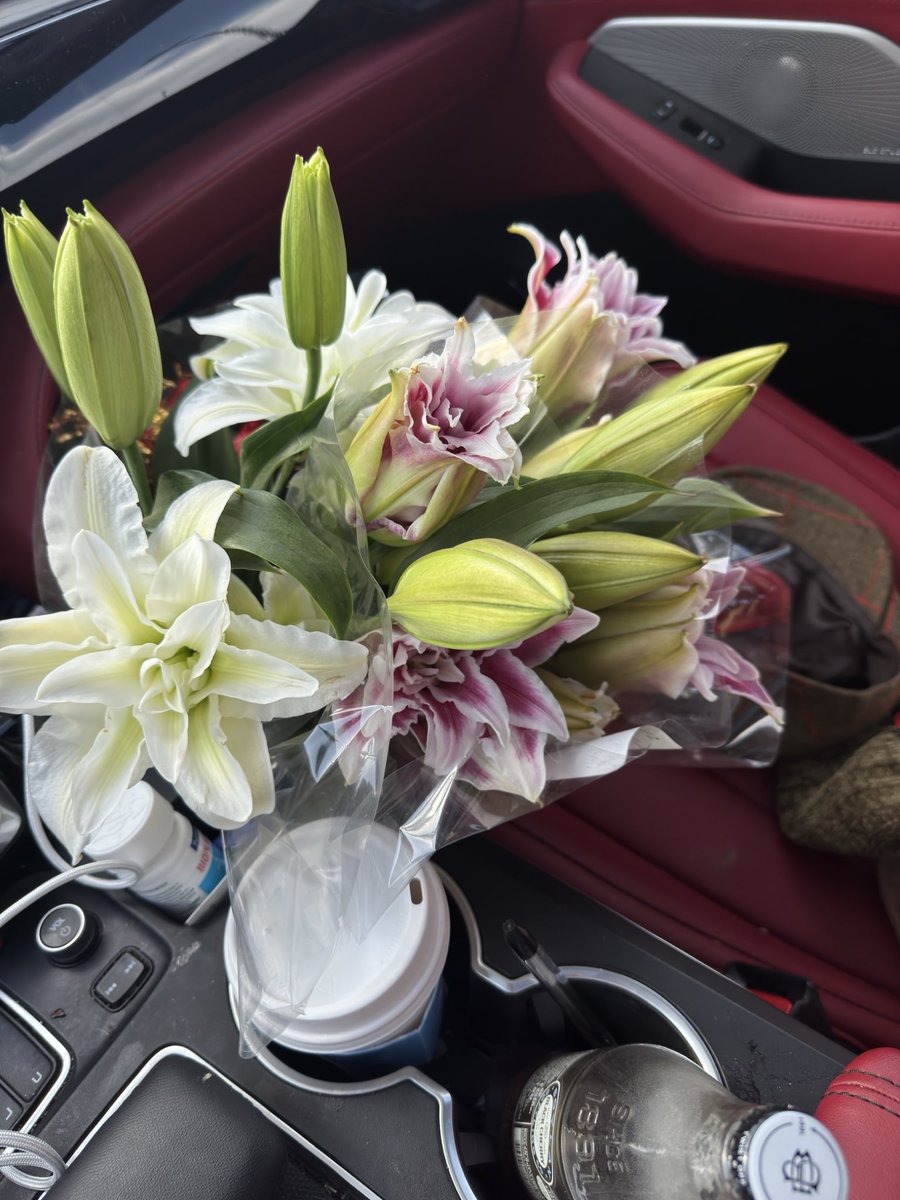 Doright & Fear Nothing tweet media