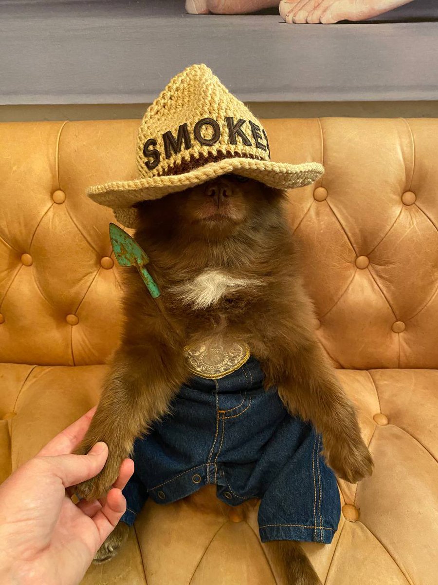 Crypto OG tweet media