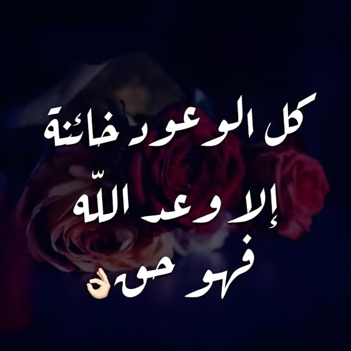 amhjoud's tweet photo. #سيادة_العميد_سيف_بولاد_ابو_بكر https://t.co/OfJbIbIZRD
