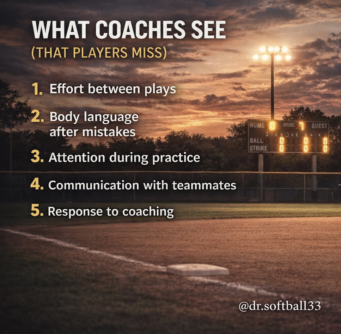 DrSoftball33 tweet media