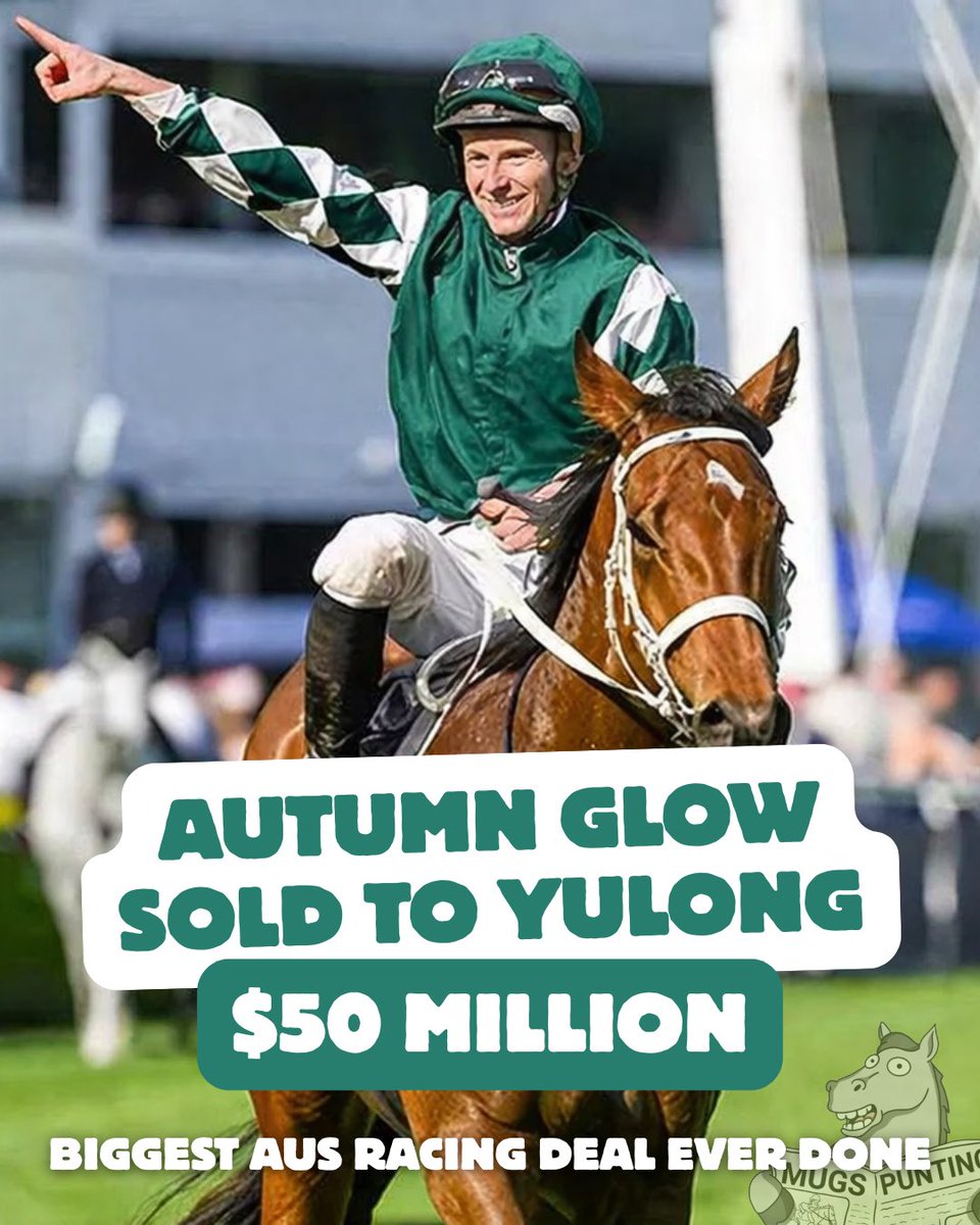 Mugs Punting tweet media