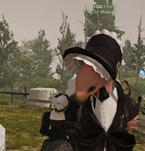 des 🐾 tweet media