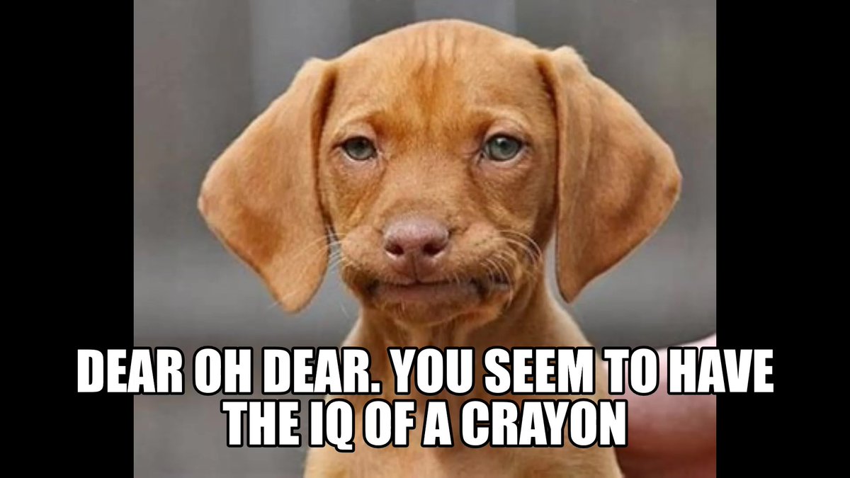 Formbook Racing tweet media