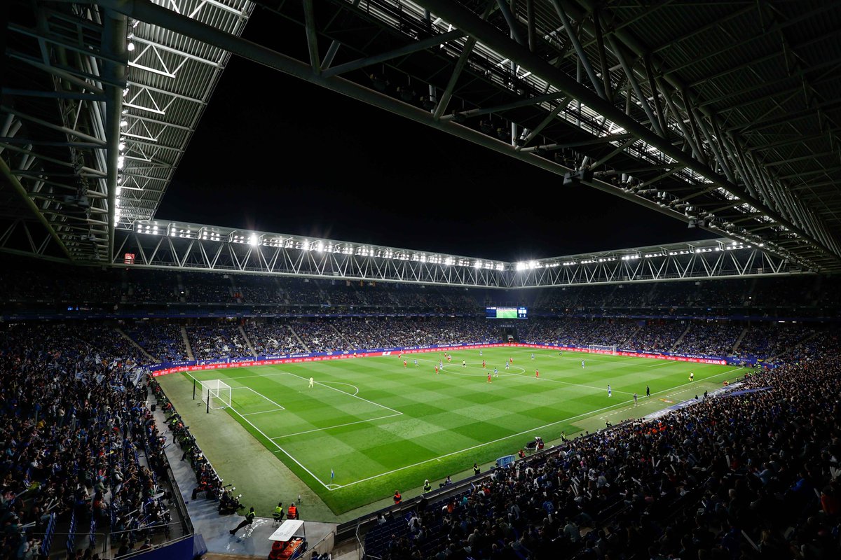 Pável Fernández tweet media