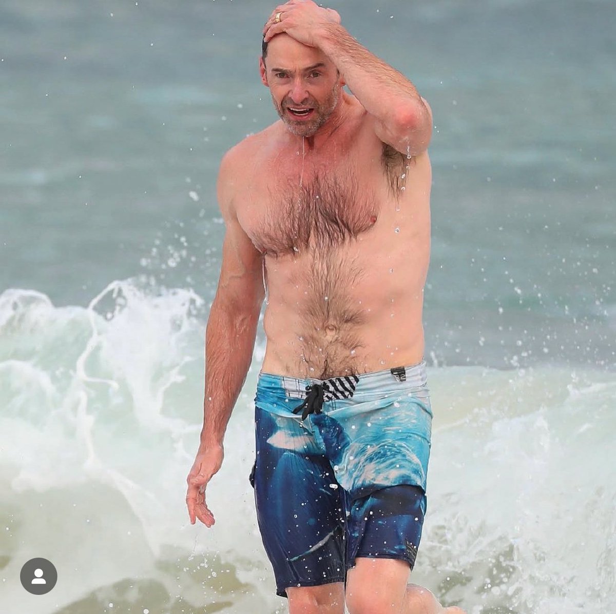 Moosferatu tweet media