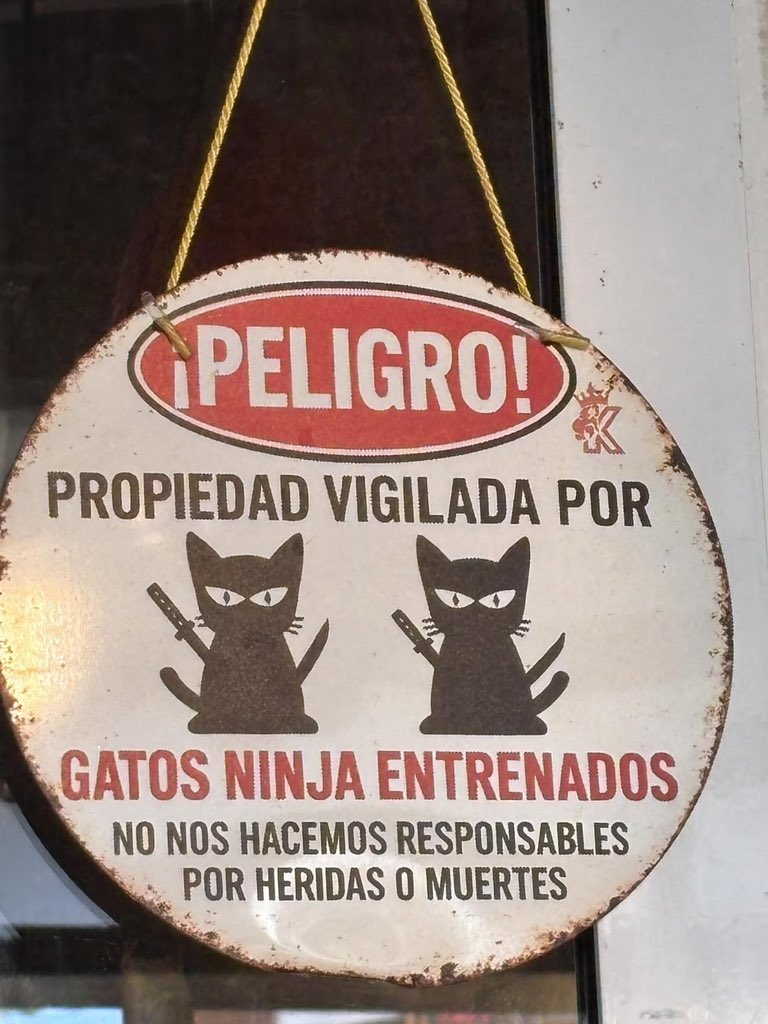 Más Ciencia tweet media