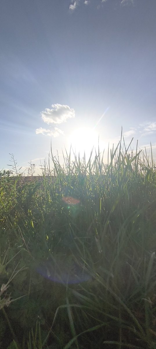 Arnau 🍀 tweet media