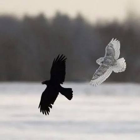 Jorge 🇪🇸♱ tweet media