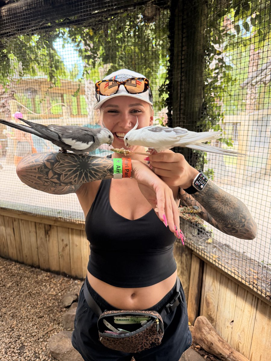 cornbread Bitch tweet media