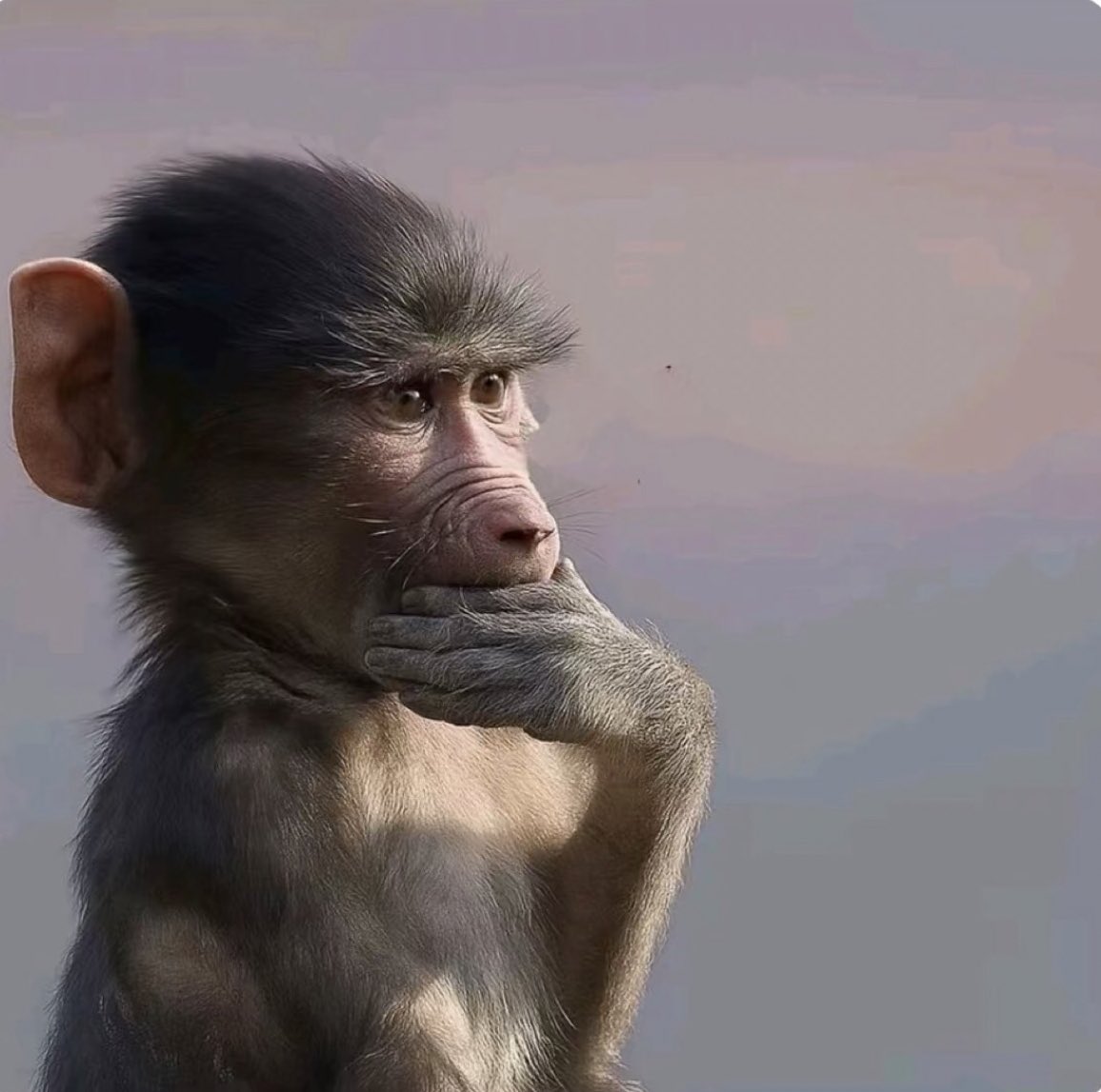 𝙽𝙰𝙳𝙰|⚖︎ tweet media