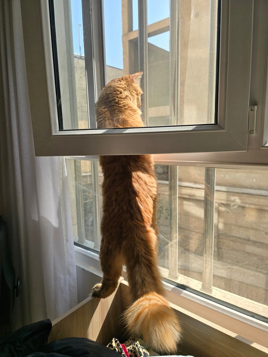 همون شهرزادم tweet media