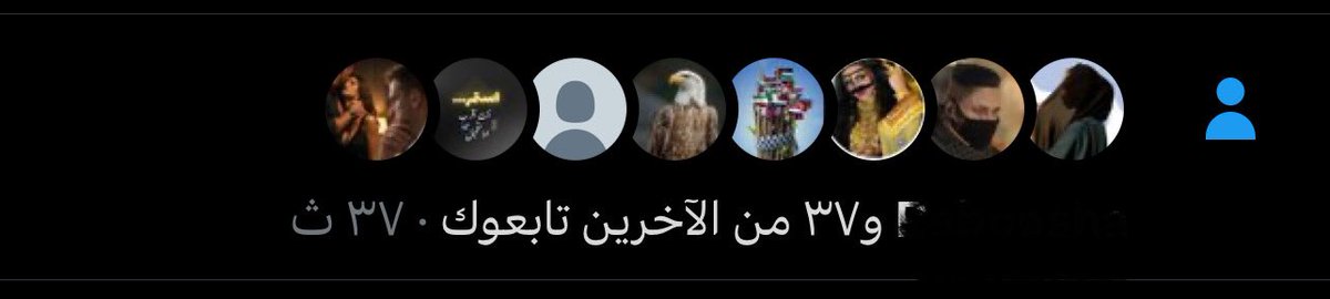 maram 🦩 tweet media