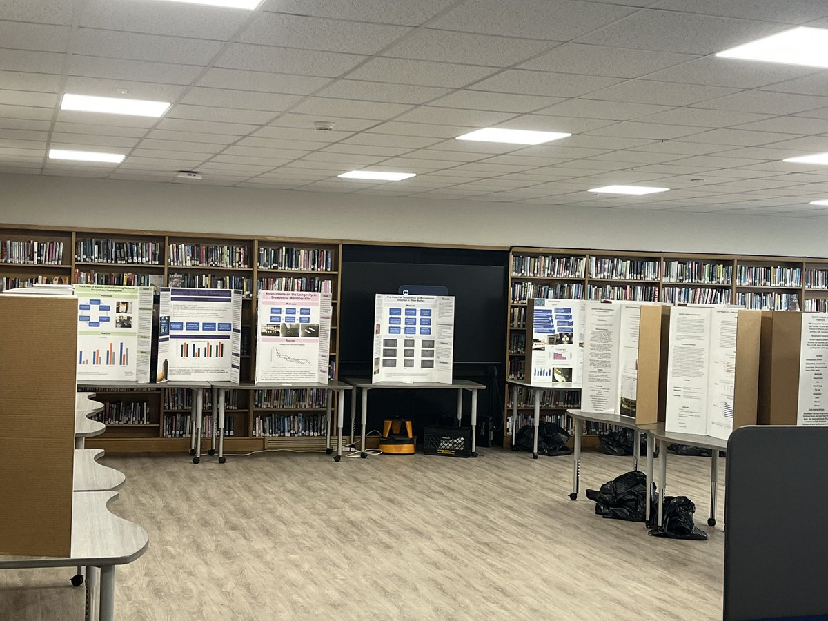 Shannon E. Kelly tweet media